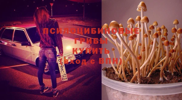 хмурый Абдулино